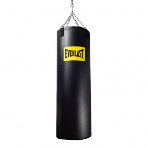 Everlast worldwide shop punching bag
