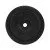 Cast iron disc TOP SPORT Castyr 15 kg