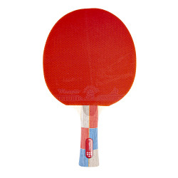 Table tennis racket inSPORTline Shootfair S7