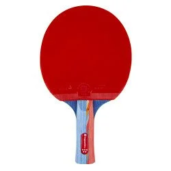 Table tennis racket inSPORTline Shootfair S5