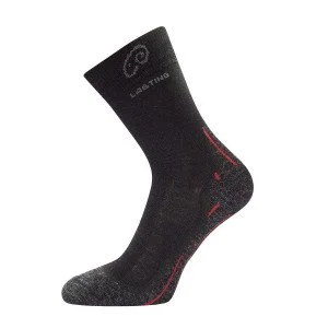Thermal socks LASTING WHI 900