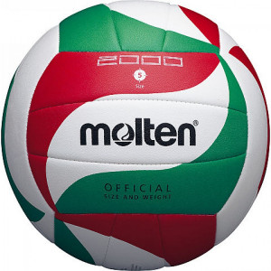 Volleyball ball MOLTEN V5M2000