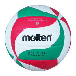 Volleyball MOLTEN V5M1300