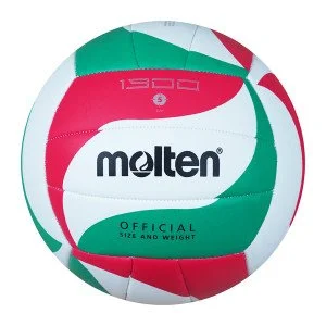 Volleyball MOLTEN V5M1300