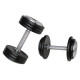 Single-Handed Dumbbell inSPORTline ProfiST 45 kg