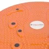Magnetic Twister inSPORTline Rotana