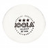 Table tennis balls JOOLA Select ***