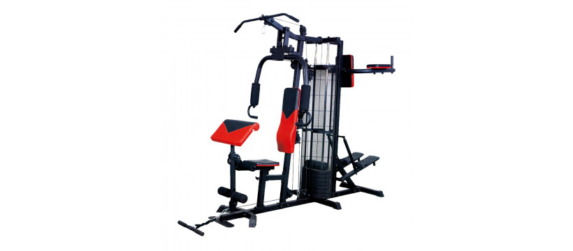 Spartan home gym online