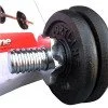 Dumbbell inSPORTline 10 kg