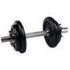 Dumbbell inSPORTline 10 kg