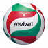 Volleyball ball MOLTEN V5M1500