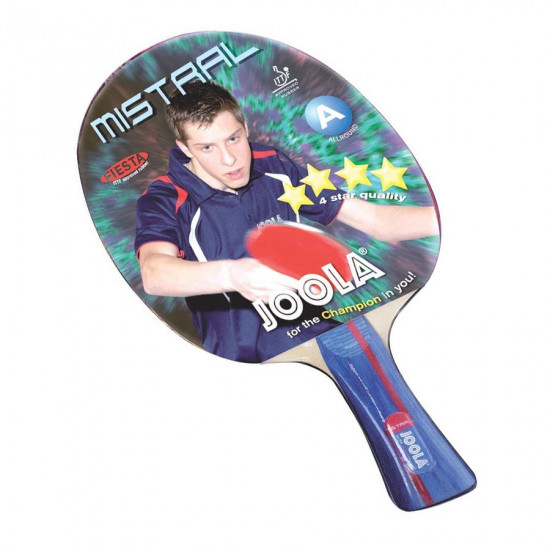 Tennic table racquet with case JOOLA Mistral Set