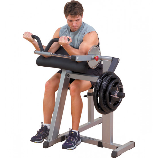 Biceps and Triceps Machine Body Solid GCBT-380