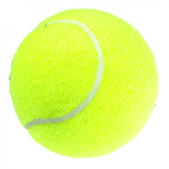 Tennis court balls NASSAU Utility Trainer