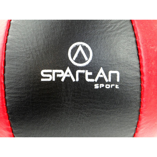 Punching bag SPARTAN