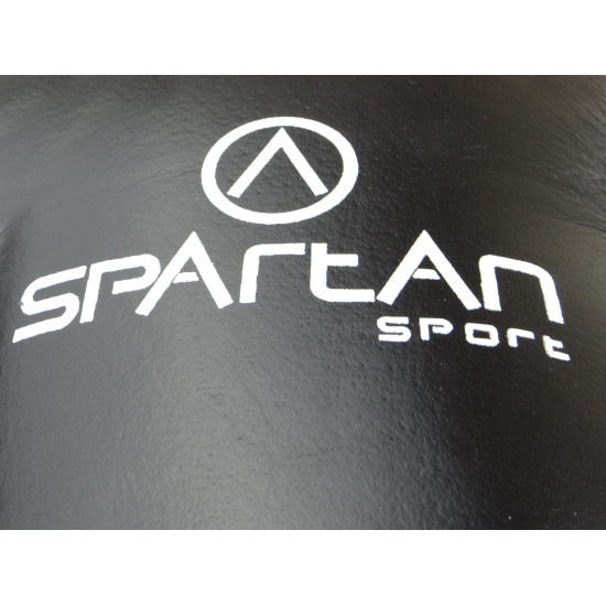 Boxing gloves SPARTAN Top ten