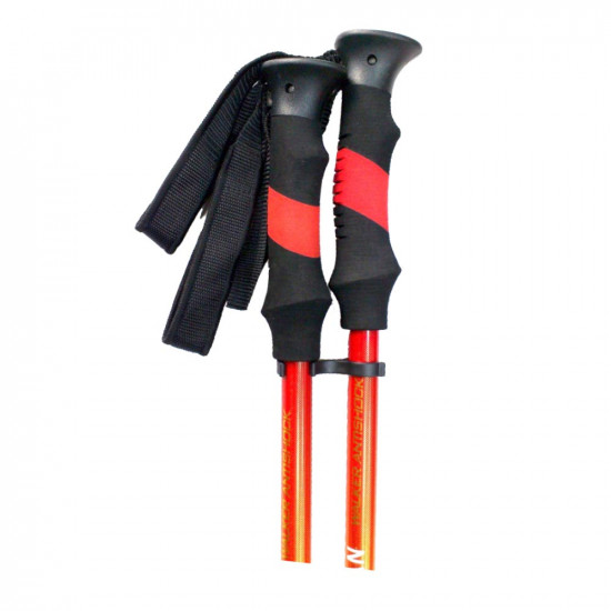 Tourist sticks - set SPARTAN Carbon/Alu