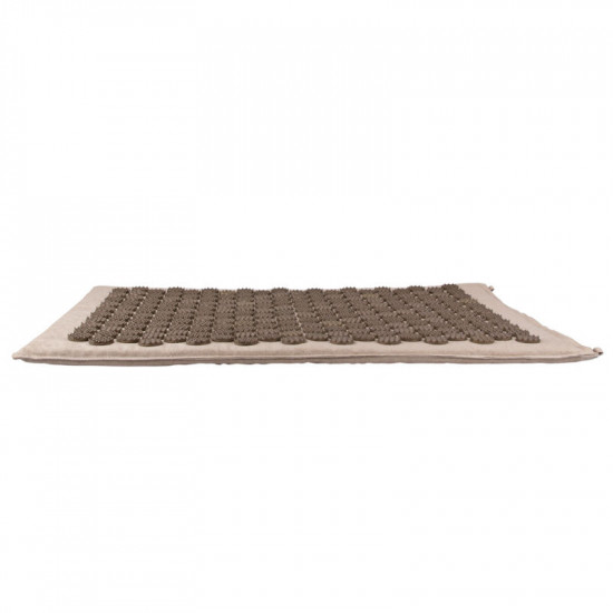 Massage Mat inSPORTline AKU-2000 72x44x2cm, Beige