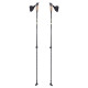 Nordic Walking Poles inSPORTline Hallti