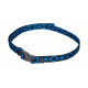 Belt TASHEV multicolored