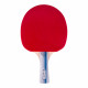 Table Tennis Set inSPORTline Setozio