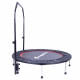 Trampoline with a Handlebar inSPORTline PROFI 122 cm