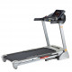 Treadmill inSPORTline Gallop II