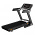 Treadmill inSPORTline Gardian G6