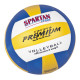 Volleyball Spartan indoor