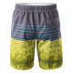 Mens shorts AQUAWAVE Campis, Green/Gray