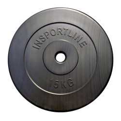 Cement Weight Plate  inSPORTline 15 kg