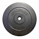 Cement Wight Plate inSPORTline 2.5 kg