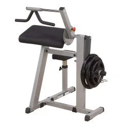 Biceps and Triceps Machine Body Solid GCBT-380