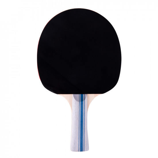 Table Tennis Paddle inSPORTline Ratai S2