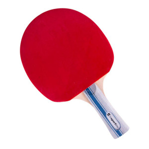 Table Tennis Paddle inSPORTline Ratai S2