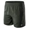 Mens shorts AQUAWAVE APELI, Iron Mens shorts AQUAWAVE APELI, Iron