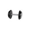 Single-Handed Dumbbell inSPORTline ProfiST 10 kg