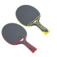 JOOLA BoogieTable Tennis ALLWEATHER