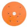 Magnetic Twister inSPORTline Rotana