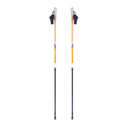 Nordic Walking Poles inSPORTline Potosi