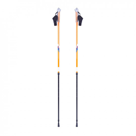 Nordic Walking Poles inSPORTline Potosi