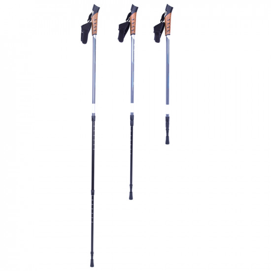 Nordic Walking Poles inSPORTline Vilarica