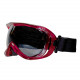 Ski goggles NORTHLAND Flex