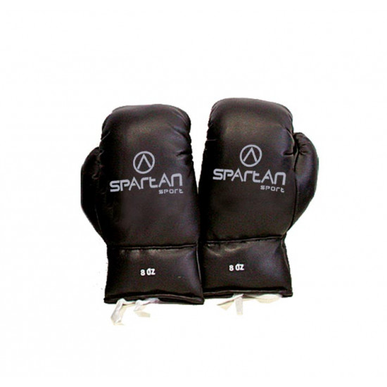 Boxing Set SPARTAN