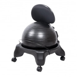 Ball Chair inSPORTline G-Chair