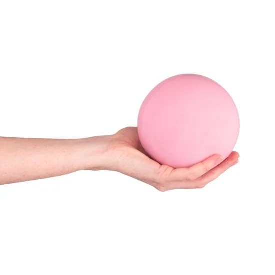 Yoga Ball  inSPORTline Yoga Ball 1 kg
